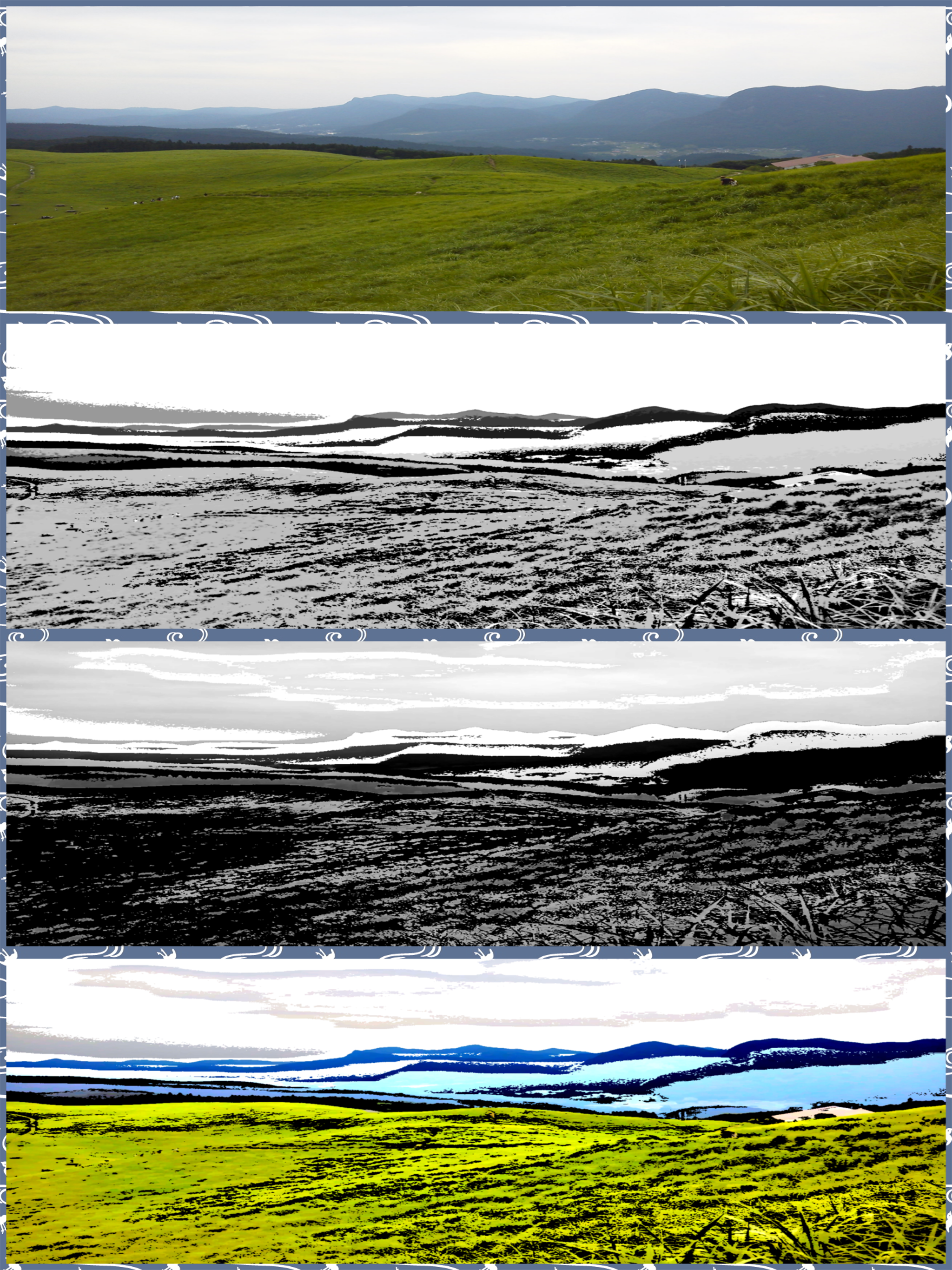 Zen Painting - Ukiyo-e Camera