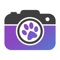 Fluffygram is the place for people who love seeing and sharing images of pets
