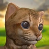 My Cute Little Kitten:Pet Game icon