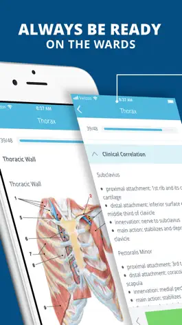 Game screenshot USMLE Clinical Anatomy Quiz mod apk