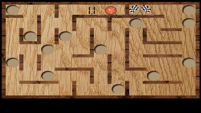 Wood Maze Deluxe screenshot 1