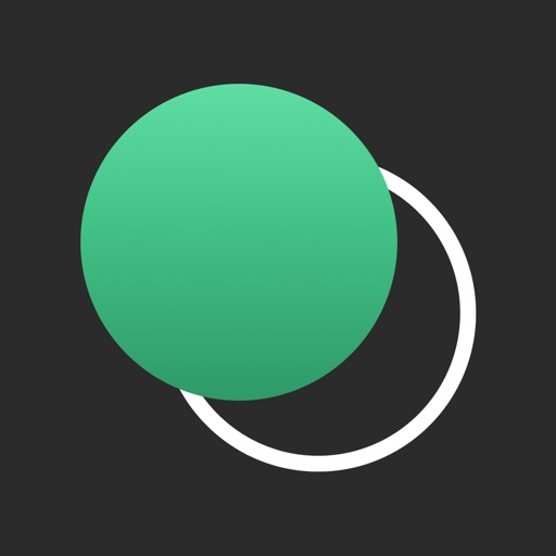Bizcoin Surveys iOS App