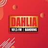 Radio Dahlia