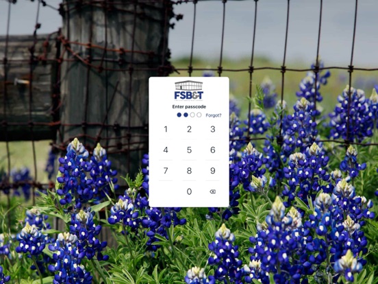 FSBT Carthage TX iPad screenshot 1 - Finance app