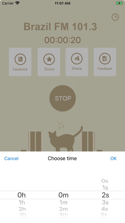 Brazil Music FM 101.3