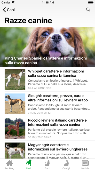 BEPUPPY Blog & Shop Screenshot