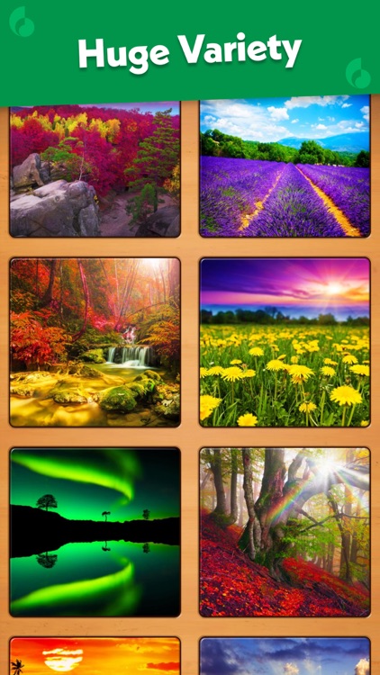 Jigsaw Puzzle Pro screenshot-3