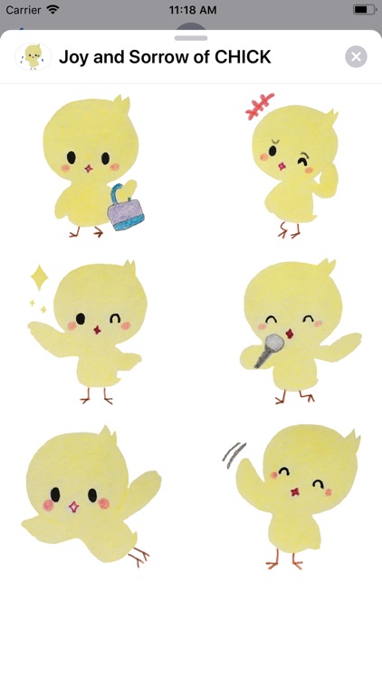 Joy and Sorrow of CHICK