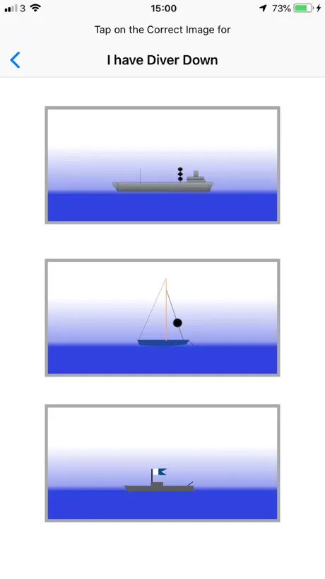 Ship Shapes
