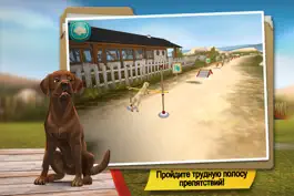 Game screenshot Dog Hotel  играть с собаками apk