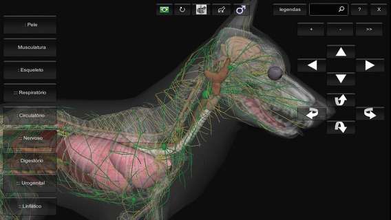 3D Canine Anatomyのおすすめ画像3