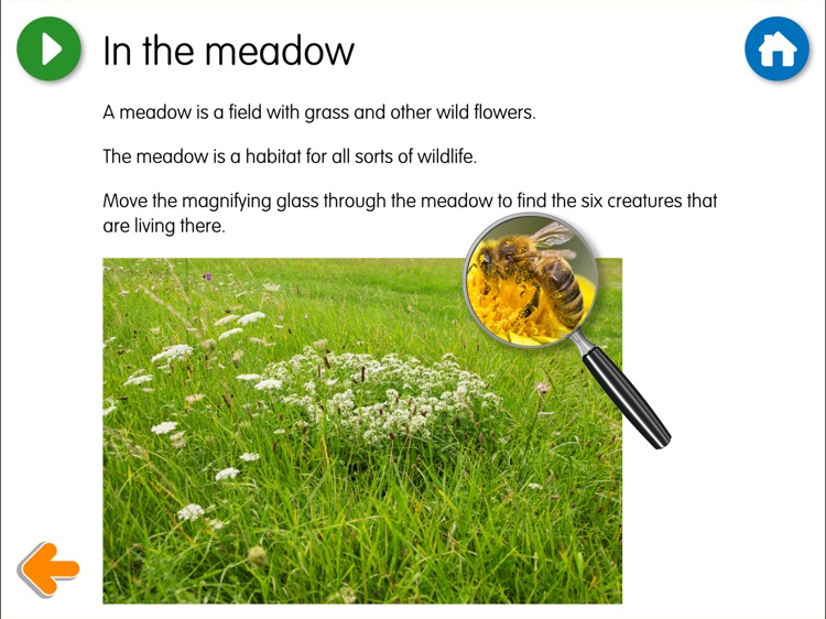 The Billy Goats Gruff - US screenshot-3