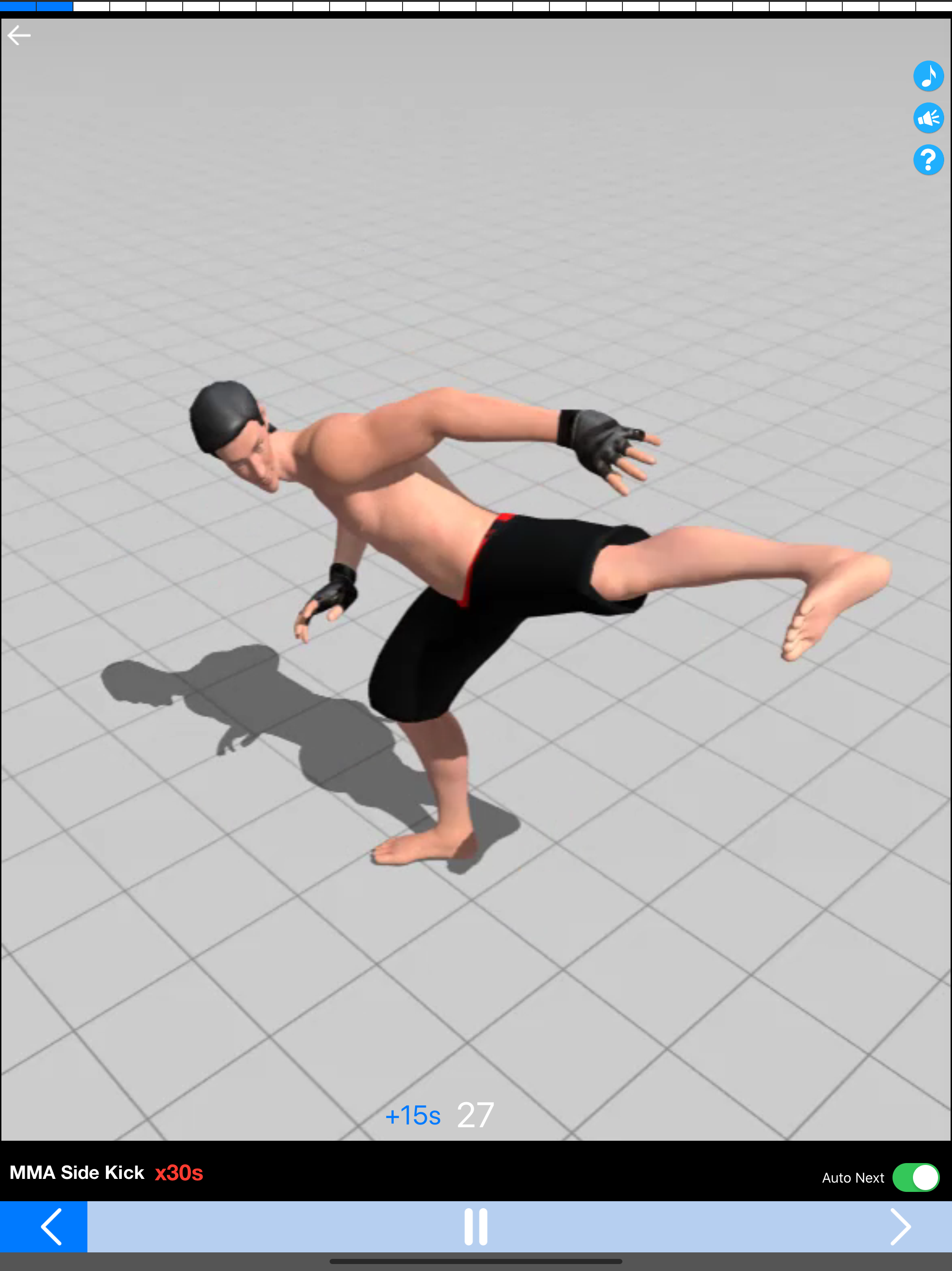 Kickboxing Fitness Trainer