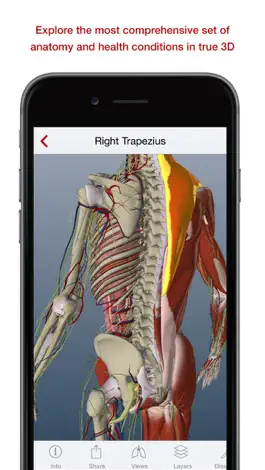 Game screenshot BioDigital Human - 3D Anatomy mod apk