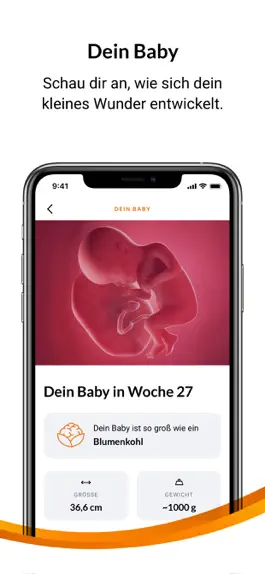 Game screenshot DAK Schwangerschaftscoaching apk