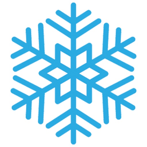 Winter - Snowflakes stickers