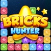 Bricks Hunter icon