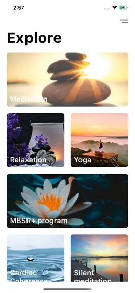Game screenshot Meditate with Medit'Solutions apk