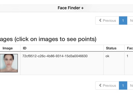 Face Finder + iPad app afbeelding 4