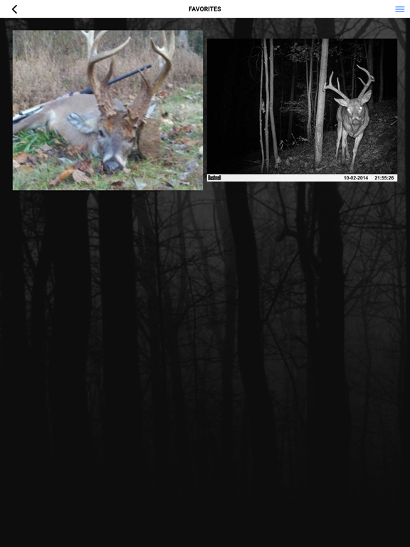 huntAhead iPad screenshot 6 - Sports app