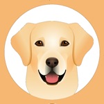 Download My Labrador Retriever app