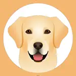 My Labrador Retriever App Contact