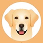 My Labrador Retriever app download