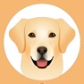 Get My Labrador Retriever for iOS, iPhone, iPad Aso Report