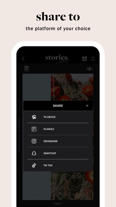 StoriesEdit - Stories Layoutsのおすすめ画像2