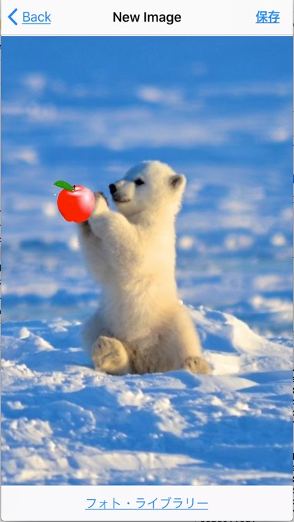 イメージ合成アプリ screenshot-3