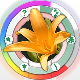 リング図鑑 《植物》