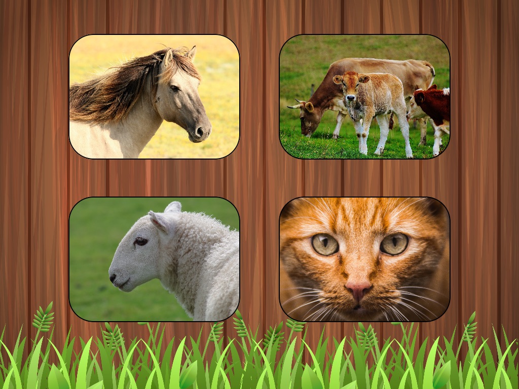 Listen Farm Animals screenshot 4