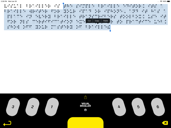 Screenshot #5 pour Visual Brailler