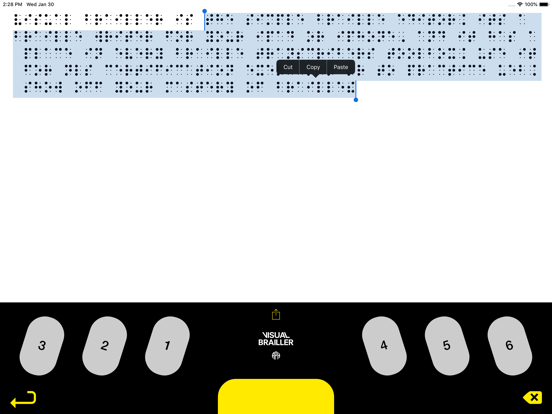 Visual Braillerのおすすめ画像2