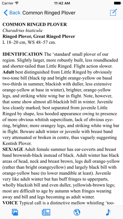 UK Ireland Bird Identification