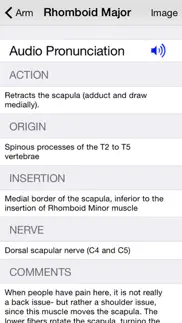 learn muscles: anatomy problems & solutions and troubleshooting guide - 2