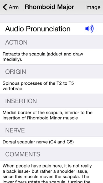 Learn Muscles: Anatomy screenshot1