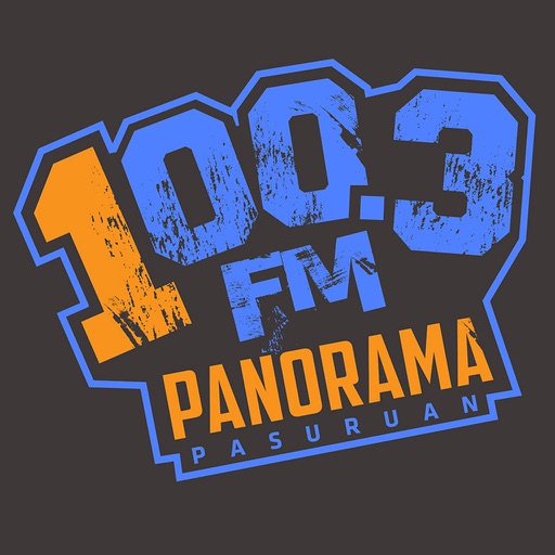 Panorama 100.3 FM