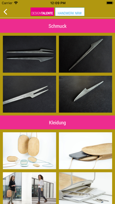 Screenshot #2 pour DesignTalente Handwerk NRW