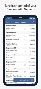 Numero: Personal Finance screenshot #2 for iPhone