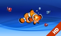 Aquarium live HD TV