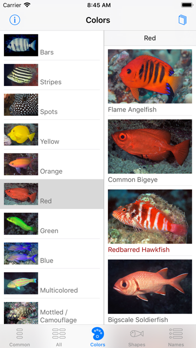 Screenshot #3 pour Snorkel Fish Hawaii for iPhone