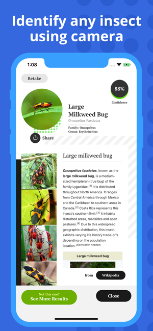 ‎Insect Identification Screenshot