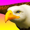 Eagle Ride - iPhoneアプリ