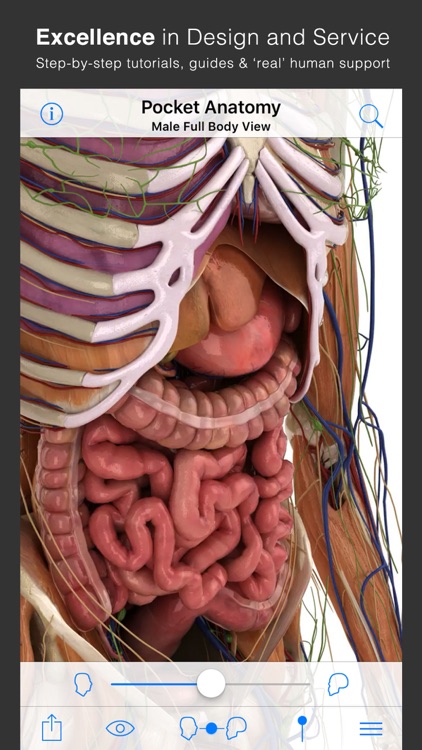 Pocket Anatomy screenshot-3