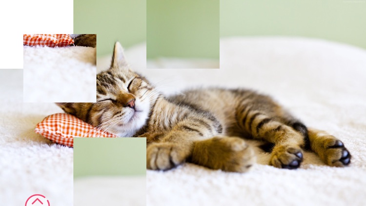 Cute Kittens - Easy Puzzle screenshot-3