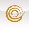 Managing your finances on the go just got easier with NB|AZ Mobile Banking