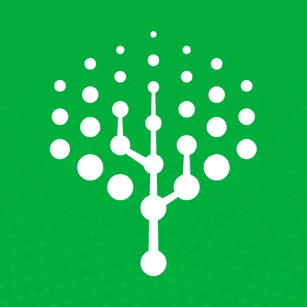 ZenSpire Cheats