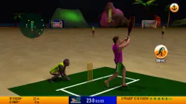 Game screenshot Friends Beach Cricket hack