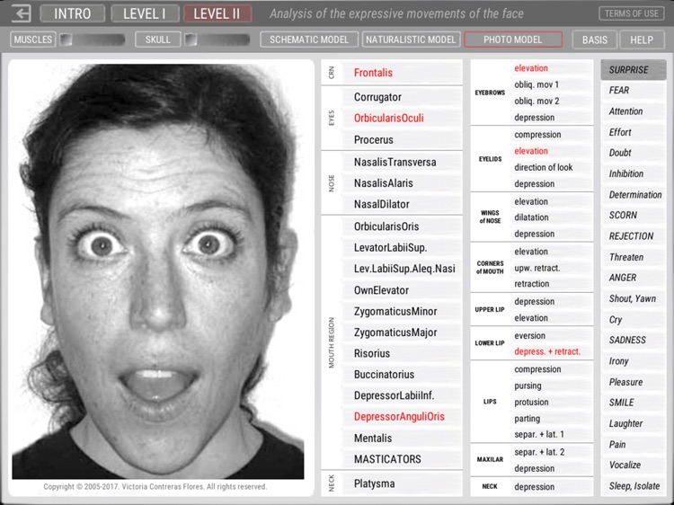 ARTNATOMYA (in english) screenshot-4